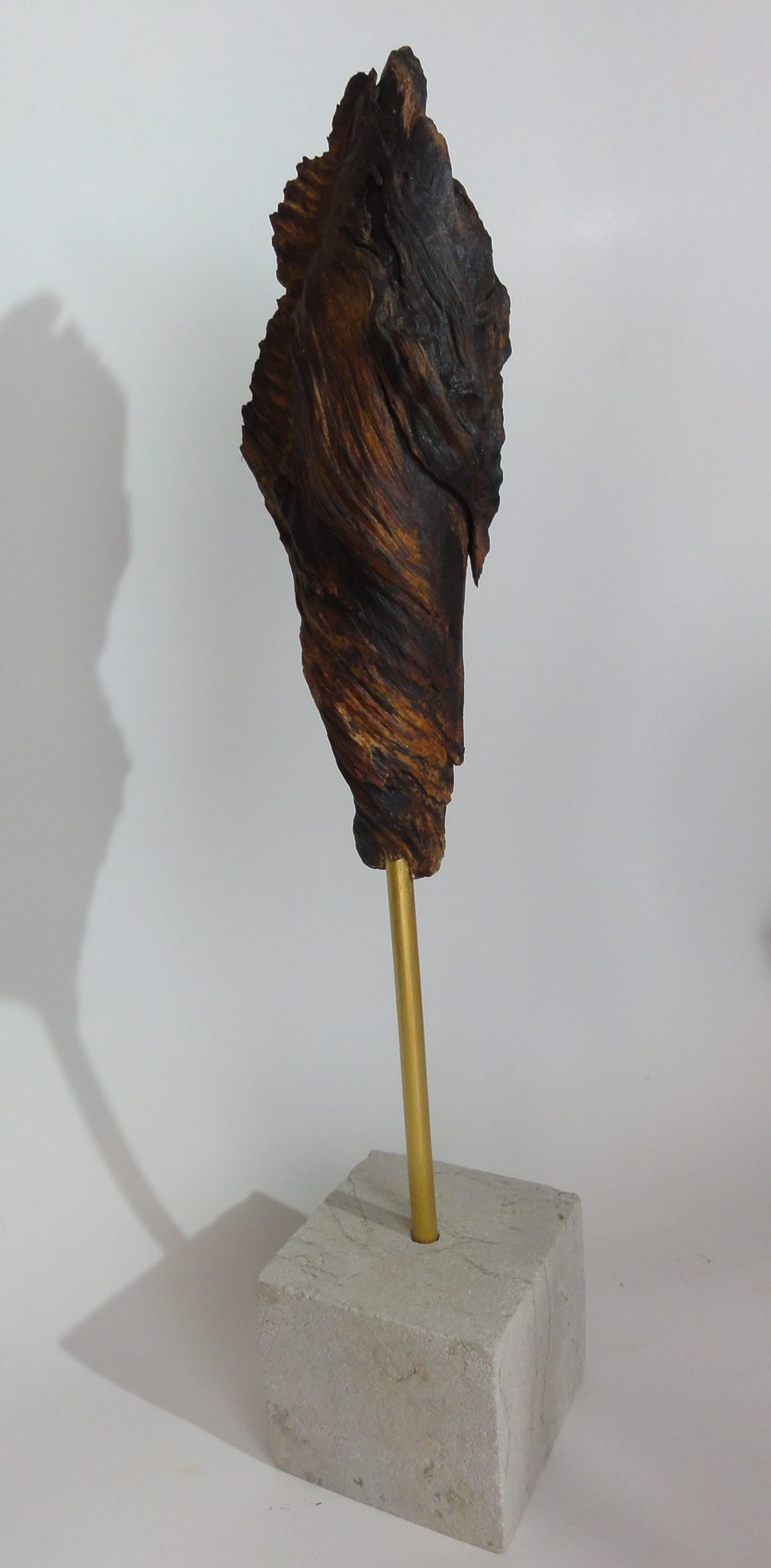 Pupa